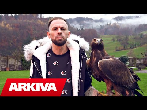 DIRTY NP - AUGE DES ADLERS (Official Video HD)