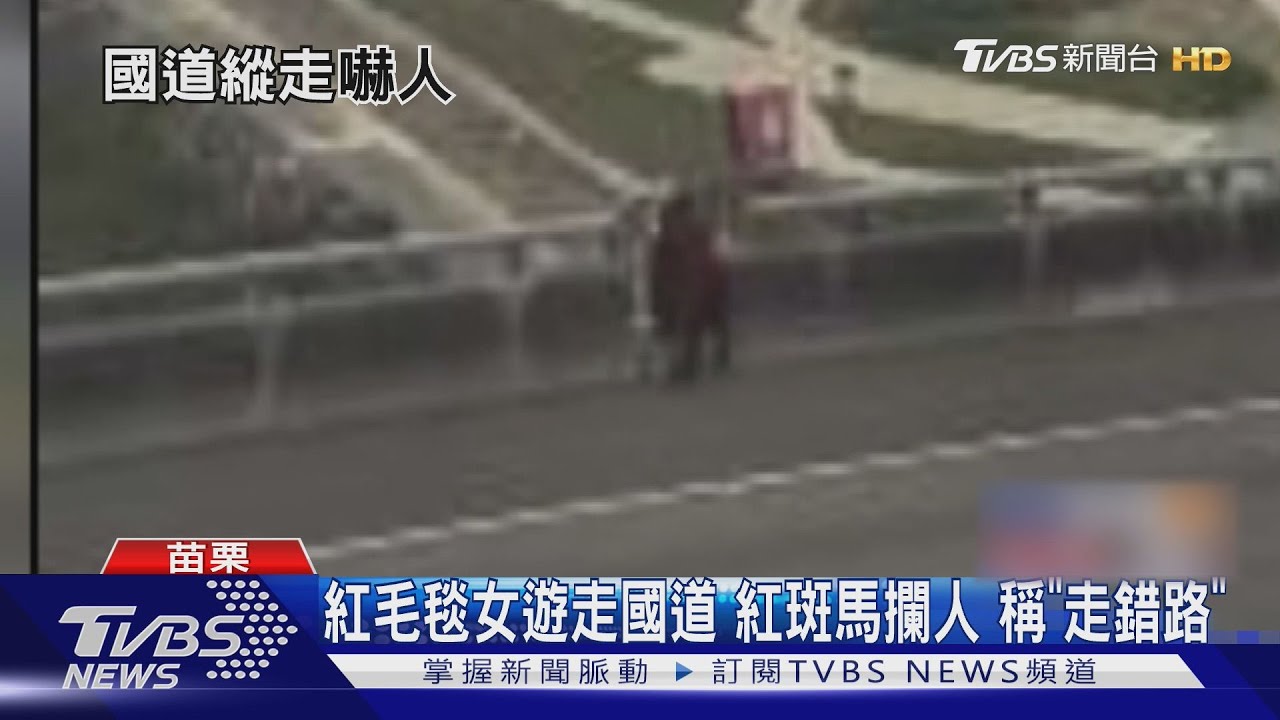 紅毛毯女遊走國道　紅斑馬攔人稱「走錯路」