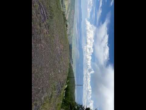 just a small video of what I saw