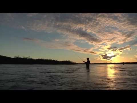 SIMMS Presents: Meat Eaters of Western Alaska