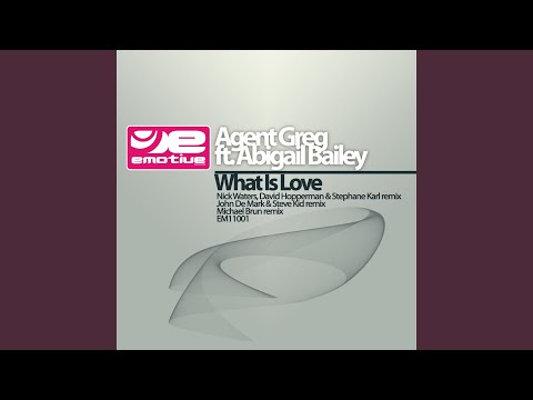 What is love (Nick Waters, David Hopperman & Stephane Karl Remix)