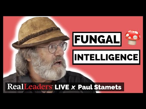 Paul Stamets on Fungal Intelligence