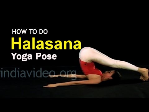 Yoga - Beauty and Wellness