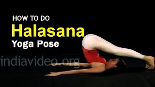 Halasana