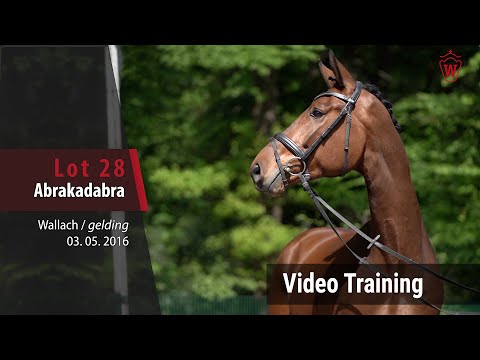 28 Abrakadabra v. All Music - Son of Cologne_Trainingsvideo
