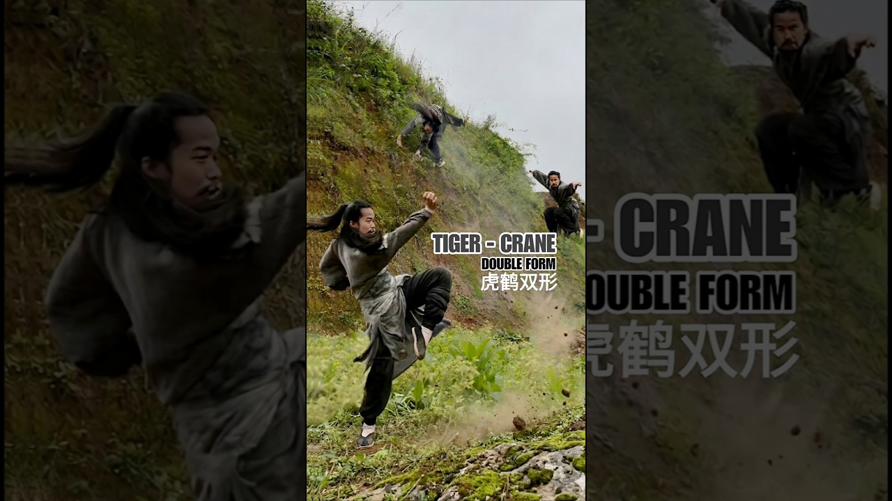 TIGER CRANE Kung Fu⚡Power & Precision