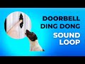 Doorbell Sound Ding Dong Dog Desensitization Various