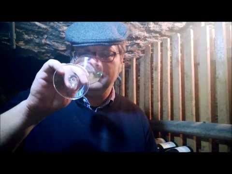 Folge 124 WTF Sauvignon Blanc