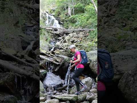Die Königstour 👑 auf den Großen Falkenstein ⛰️