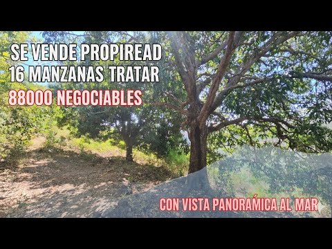 Se vende 16 manzanas en canton  los ponces  distrito de  rosario d mora 