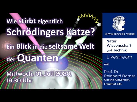 Wie stirbt eigentlich Schrödingers Katze? – Ein Blick in die seltsame Welt der Quanten