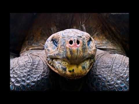 Dj Megamix Mix 71 Summer Russia 3