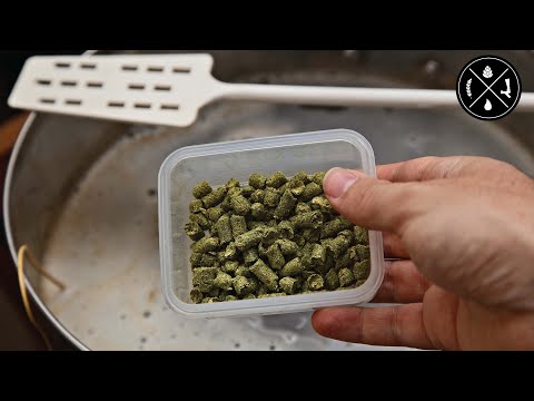 Fixing flat beer, cold crashing outside, forgot to add aroma hops, & our 2022 resolutions  - Ep 262