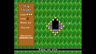 Acorn Archimedes Game: Enigma (1993 Archimedes World)