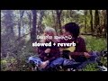 Wasantha Kaleta වසන්ත කාලෙට Roshan Fernando Sinhala Song Slowed Reverb