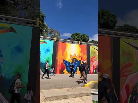 Esto es Caripe, Estado Monagas, Venezuela. Año 2026📍⛰️🇻🇪🎥