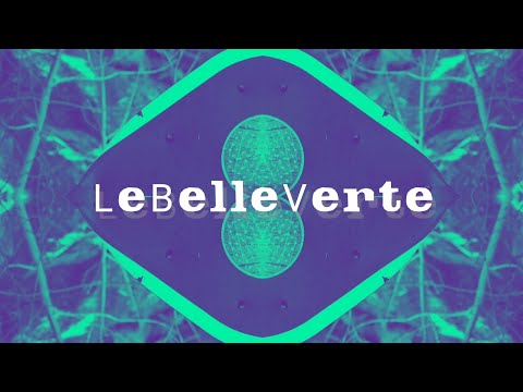 ZaPaTaZz - LeBeLLeVeRTe (Official Video)