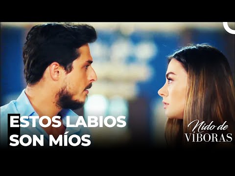 Nadie Te Toque Más Que Yo - Nido De Víboras