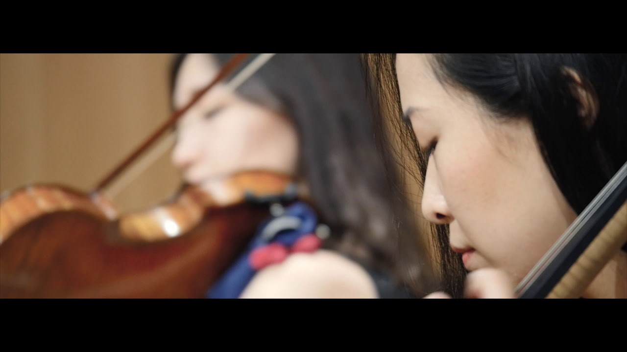 Promotional video thumbnail 8 for PIZZI String