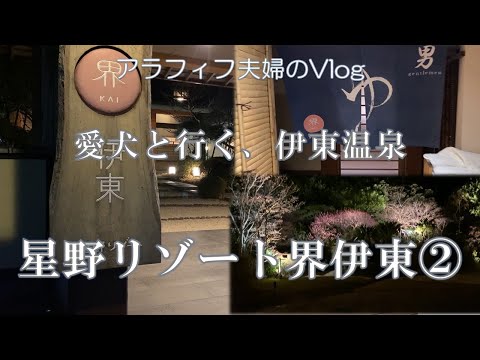 YouTube動画を再生