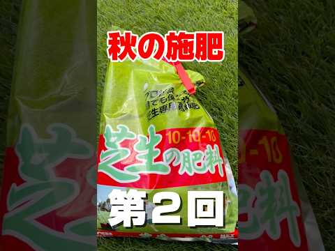秋の芝生のメンテナンス: 芝生を傷める 7 つの間違いとその回避方法  庭園