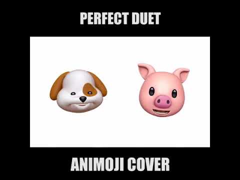 Perfect Duet - Ed Sheeran & Beyoncé  Cover By Dog Face & Pig Face in iPhoneX