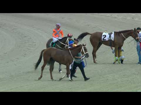 211212 c05 EEUU/ WARM PUNCH