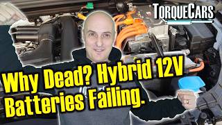 Hybrid 12v Battery Care - Truth About Hybrid 12V Battery Problems: What You Need to Know