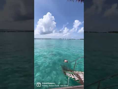 7 things to enjoy in Maldives short video thumbnail