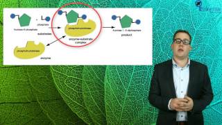 Essentials Concept Video SACE2 Biology - Enzymes