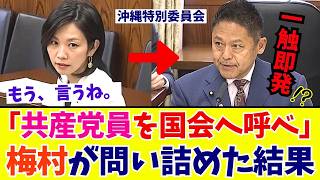 【国会激震】ついに証人喚問を要求！梅村みずほ議員が“辺野古の闇”に斬り込み猛追求。逃げ回る関係者へ”究極の一手”に出る【参政党】