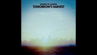 Boards of Canada-Split Your Infinities Reversed