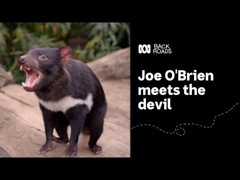 Joe O’Brien meets the devil Back Roads ABC Australia