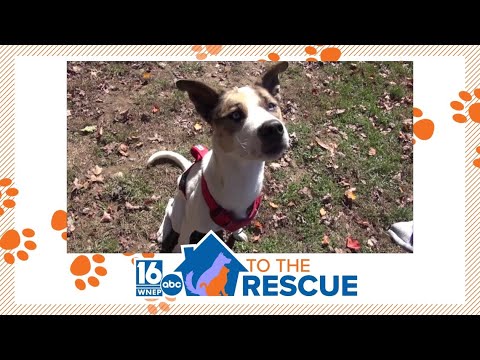 16 To The Rescue: Magoo - YouTube
