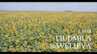 Dulce Pontes &amp; E. Morricone _ &quot; I Girasoli&quot;