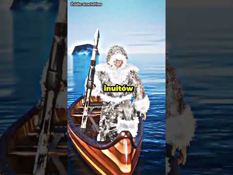 Wieloryb z harpunem sprzed 100 lat - niezwykłe odkrycie