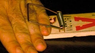 Slow-Mo Hand in MOUSETRAP! ... And DONGs