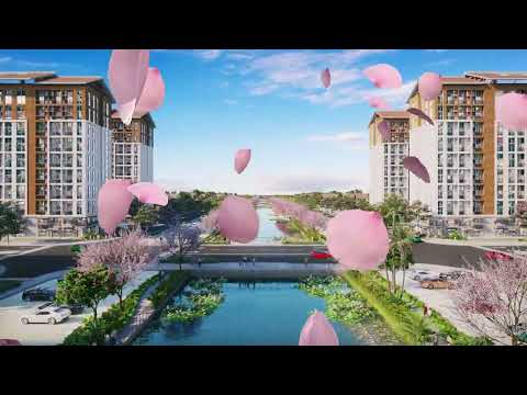 Video dự án 1