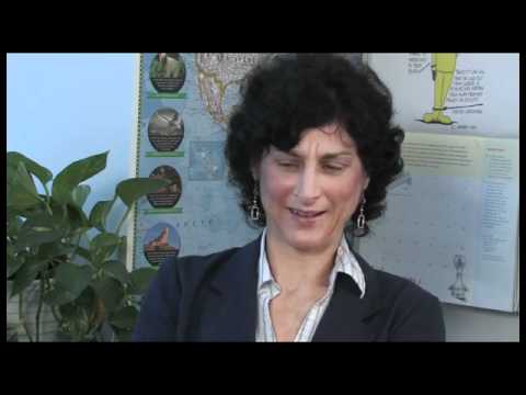 Thumbnail for video: Toxic Soup - SUBMISSION ÉCU 2011