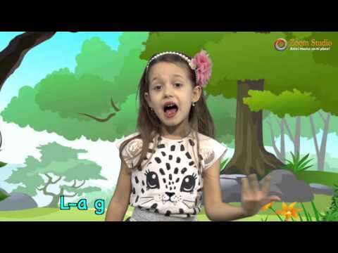 IEPURAS COCONAS - ANDREEA STEFAN (CANTECE PENTRU COPII 2016)