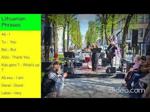 Δ- LINGUA : Lithuanian Language Lesson # 4 -- Lithuanian Words