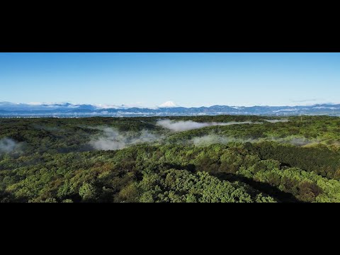 所沢市の緑地紹介映像