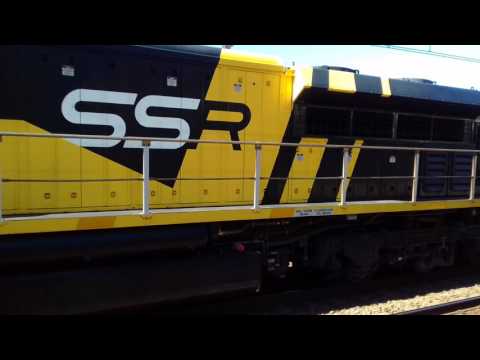 The big banana rolls out of Gosford