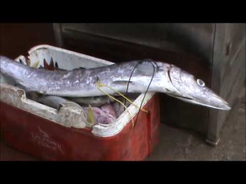 South India@2019 Part 4