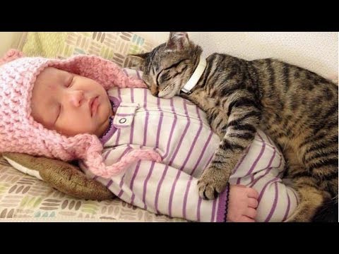 BEST VIDEOS Of Cats Love Babies Compilation || CUTE And FUNNY