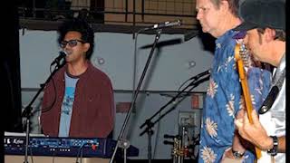 Brian Wilson - Meant for You/Friends (Live 2002)