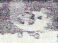 PBS Kids Program Break 2005 WCET TV LOW QUALITY