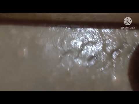 Ice cream party with Gunnu 😋.