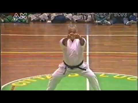 Master Taiji Kase - Meikyo three angle view