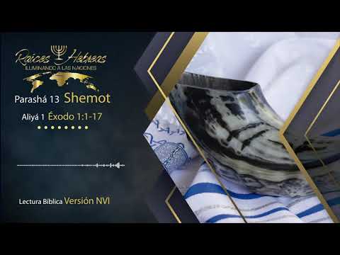 Parashá 13 - Shemot | Aliyá 1